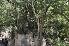 IMG_3966_2025