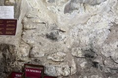 IMG_3975_2025