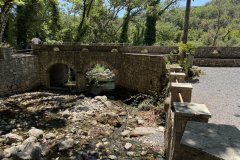 IMG_3985_2025