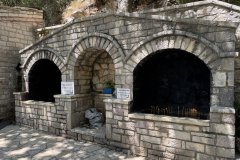 IMG_4003_2025