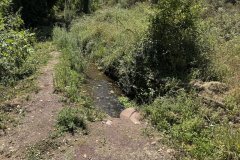 IMG_4013_2025