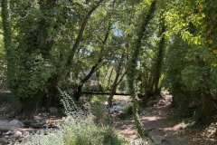 IMG_4015_2025