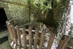 IMG_4033_2025
