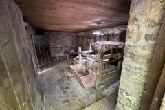 IMG_4034_2025