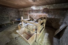 IMG_4035_2025