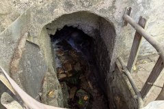 IMG_4038_2025