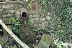 IMG_4043_2025