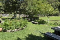 IMG_4062_2025