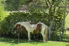 IMG_4064_2025