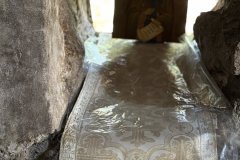 IMG_E3982_2025