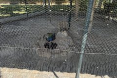 IMG_4068_2025