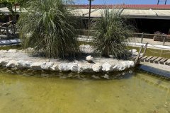 IMG_4069_2025