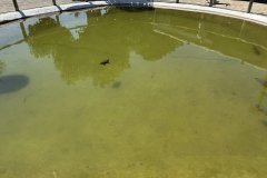 IMG_4070_2025