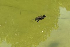 IMG_4071_2025