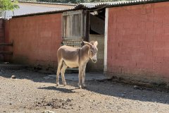 IMG_4081_2025