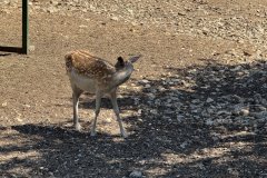 IMG_4087_2025