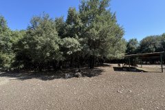 IMG_4091_2025