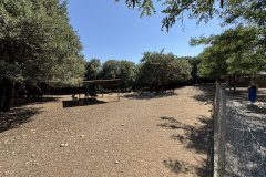 IMG_4093_2025