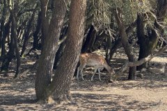 IMG_4096_2025