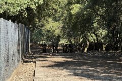 IMG_4099_2025