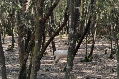 IMG_4100_2025
