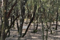 IMG_4101_2025