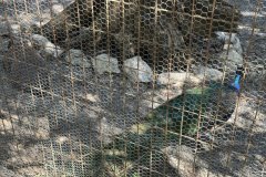 IMG_4102_2025