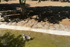 IMG_4109_2025