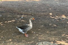 IMG_4112_2025