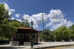 IMG_3708_2025
