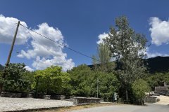 IMG_3709_2025