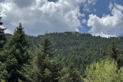 IMG_3713_2025