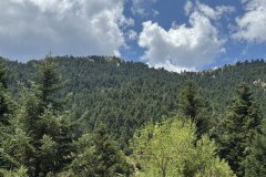 IMG_3714_2025