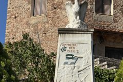 IMG_3778_2025