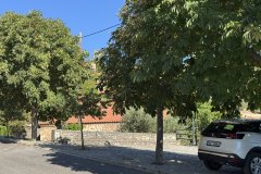 IMG_3780_2025
