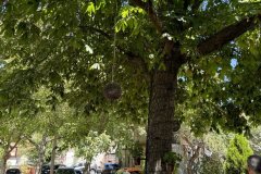 Το-στέκι-του-Μοριά-16_result