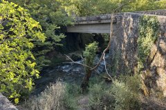 IMG_3745_2025