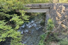 IMG_3746_2025