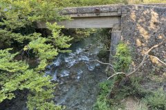 IMG_3749_2025