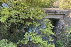 IMG_3750_2025