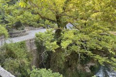 IMG_3751_2025