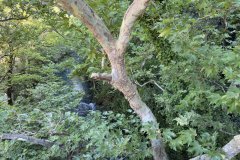 IMG_3752_2025