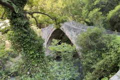 IMG_3756_2025