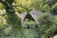 IMG_3757_2025
