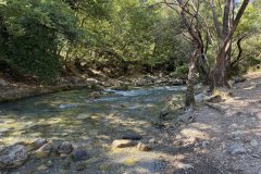 IMG_3783_2025