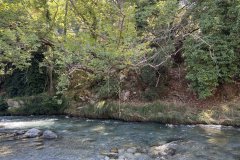 IMG_3787_2025