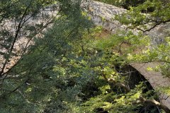 IMG_3793_2025
