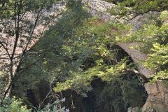 IMG_3794_2025