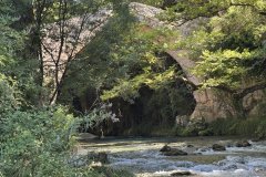 IMG_3797_2025