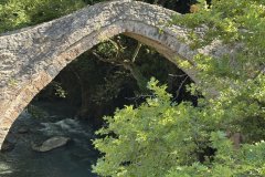 IMG_3802_2025